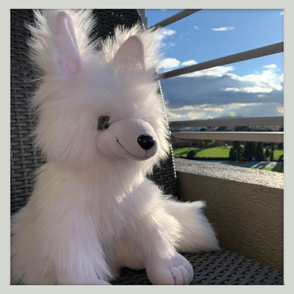 Nukappi nuestro peluche #arcticlover tomando el sol en una tarde Bogotana de Arctic Fox Colombia